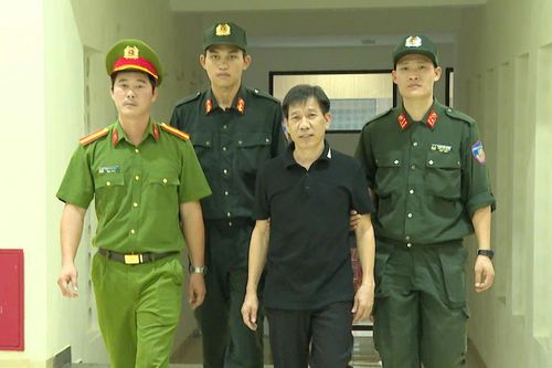 Mạnh 'gỗ' thao túng kiểm lâm, quân sư cho Vi 'ngộ' thế nào?