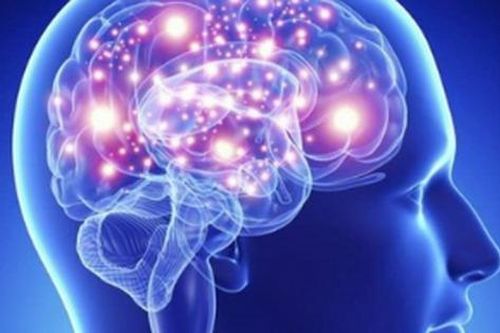 Bổ sung vitamin B – Bí quyết tăng cường năng lượng cho não bộ