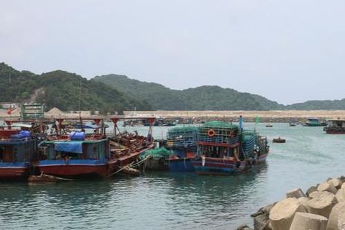 Bão số 7: Quảng Ninh tạm ngừng cấp phép tàu ra khơi một số khu vực biển từ 11h trưa 8/9