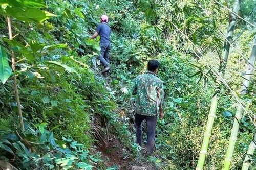 Vết nứt lớn trên đồi ở Nghệ An đe dọa Quốc lộ 7, dân được sơ tán khẩn cấp