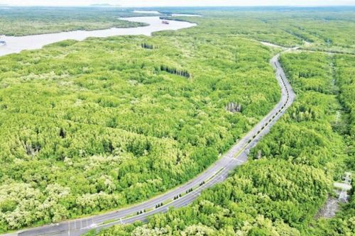 Đề xuất cơ chế đặc thù, vượt trội để triển khai nhanh các tuyến Metro