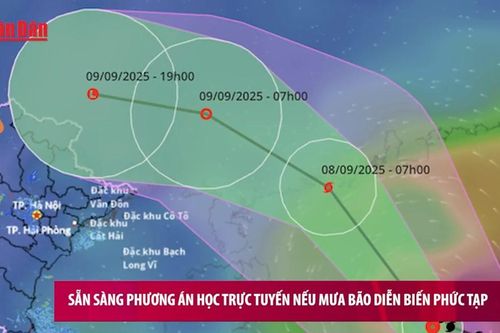 Sẵn sàng phương án học trực tuyến nếu mưa bão diễn biến phức tạp