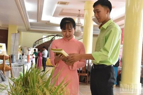 Sản xuất trồng trọt phía nam đạt hiệu quả cao