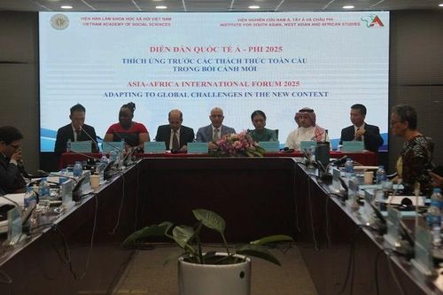 Diễn đàn quốc tế Á-Phi lần thứ nhất: Thích ứng trước các thách thức toàn cầu