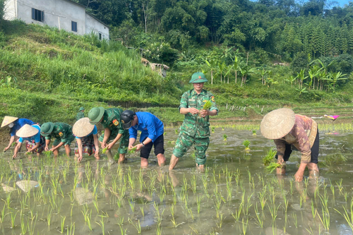Bản sáng vùng biên