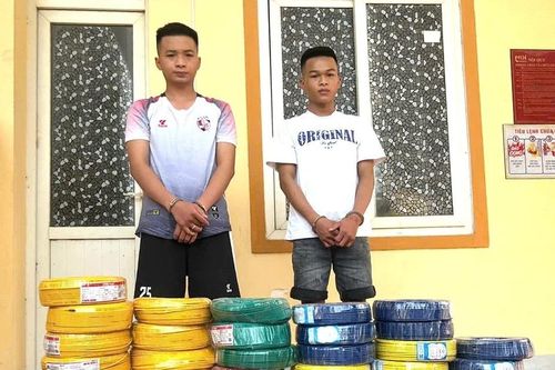 Bắt 2 anh em ruột đột nhập công ty ở Nghệ An cuỗm 44 cuộn dây điện