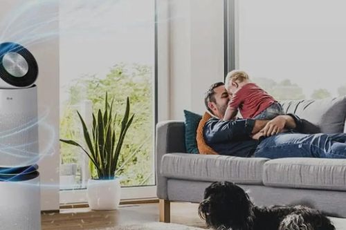 Máy lọc không khí có thể hỗ trợ điều trị huyết áp cao