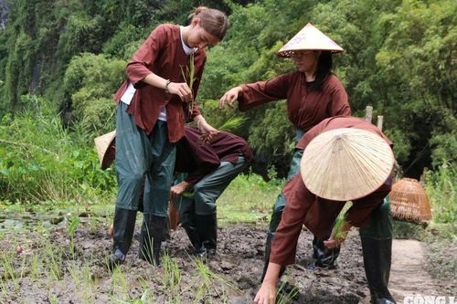 Du khách quốc tế say mê khám phá vẻ đẹp thanh bình của đồng quê Ninh Bình