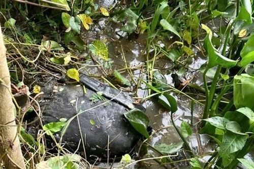 Đối tượng giết người tình, chở thi thể đi phi tang