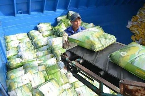 Thủ tướng chỉ đạo tìm thị trường mới, ổn định giá lúa, hỗ trợ nông dân ĐBSCL