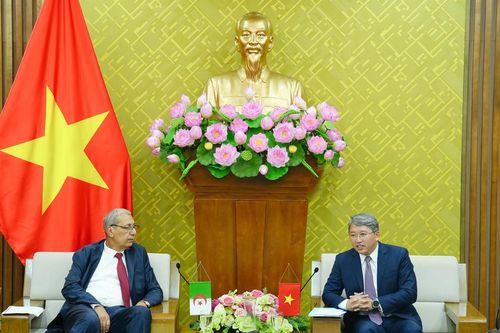 Bộ Tư pháp Việt Nam – An-giê-ri: Củng cố sự hợp tác toàn diện về pháp luật và tư pháp