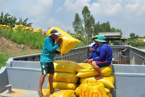 Thương nhân xuất khẩu gạo 'khát' vốn