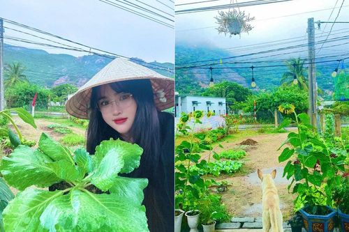 Cô giáo tiếng Hàn bỏ phố về quê, được 'chữa lành' nhờ khu vườn xanh mướt