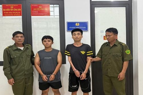 Liên tiếp triệt phá các vụ tàng trữ, mua bán ma túy tại Đông Triều, Bình Khê