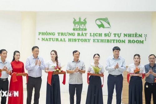 Du khách đến Huế có thêm địa chỉ trải nghiệm hấp dẫn