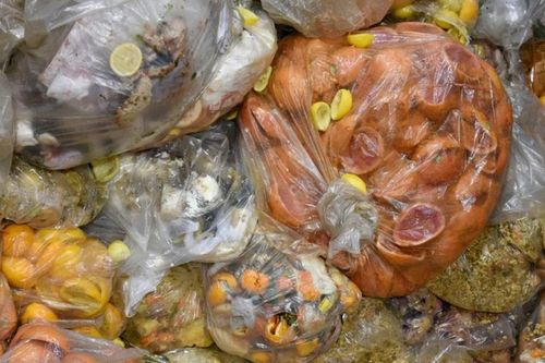 EU siết chặt quy định về rác thực phẩm và thời trang nhanh