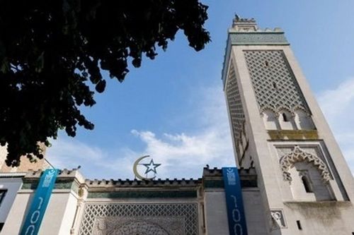 Pháp: Phát hiện 9 đầu lợn bị bỏ tại nhiều đền thờ Hồi giáo ở Paris