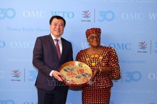 Việt Nam ủng hộ tiến trình cải cách WTO