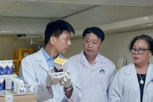 Việt Nam xuất ngoại 340.000 liều vaccine dịch tả lợn châu Phi