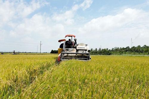 Xây dựng quê hương An Phú giàu đẹp