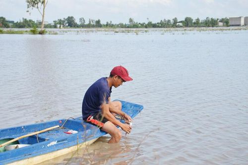 An Giang: Cảnh báo lũ trên các sông
