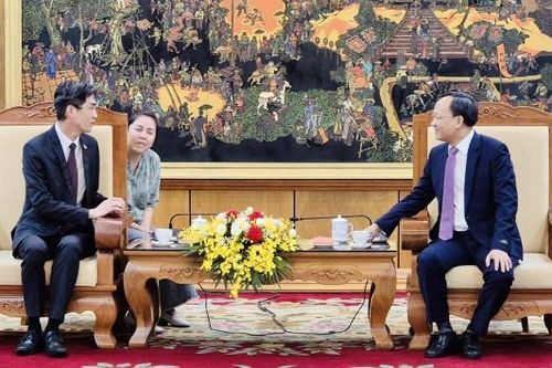Phó Chủ tịch UBND tỉnh Phạm Văn Thịnh tiếp và làm việc với Phòng Thương mại và Công nghiệp Brazil-Việt Nam