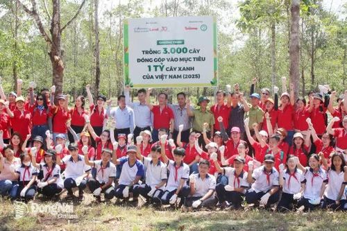 Khắp nơi trong tỉnh ngày 9-9-2025