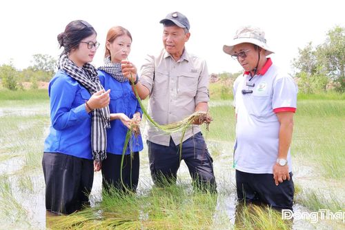 Hồi sinh Tràm Chim - Nỗ lực kiến tạo một 'vùng đất Ramsar đa giá trị'