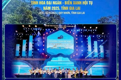 Tổng kết Lễ hội tinh hoa Đại ngàn - Biển xanh hội tụ