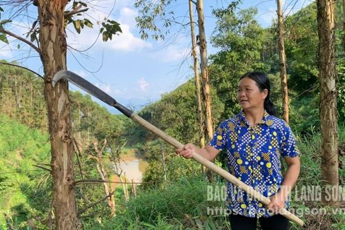 Nà Ân tự lực thoát nghèo