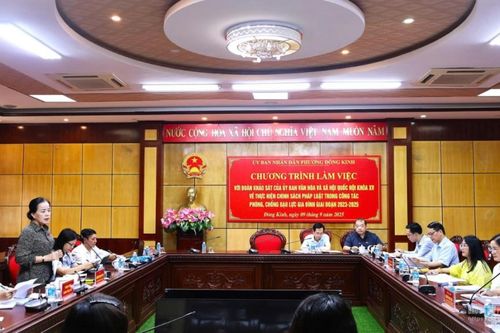 Khảo sát việc thực hiện chính sách, pháp luật về phòng, chống bạo lực gia đình tại phường Đông Kinh