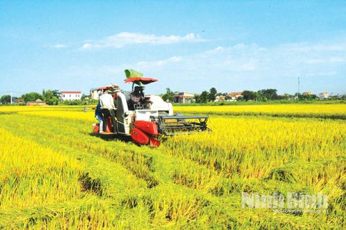 Đẩy mạnh cơ giới hóa để nâng cao năng suất lao động và giá trị nông sản