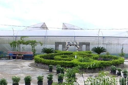 Kỳ 2: Chuyển đổi số: 'chìa khóa vàng' cho nông nghiệp Đất Tổ
