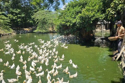 Làm giàu trên vùng đất khó