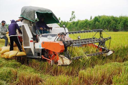 'Bệ đỡ' để nông nghiệp phát triển