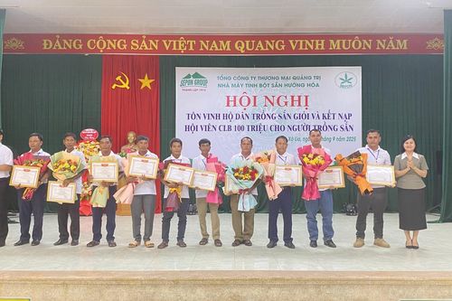 Biểu dương, khen thưởng 10 hộ dân trồng sắn giỏi