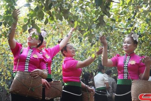 Diện mạo mới vùng đất dưới chân đèo Cao Pha