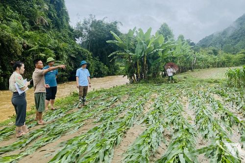 Mưa lớn gây thiệt hại đáng kể tại các xã phía Bắc Thái Nguyên