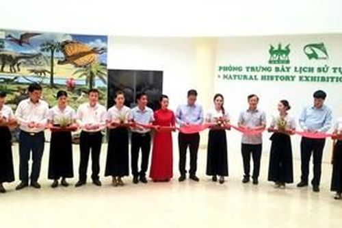 Khai trương Phòng Trưng bày lịch sử tự nhiên tại Phong Điền