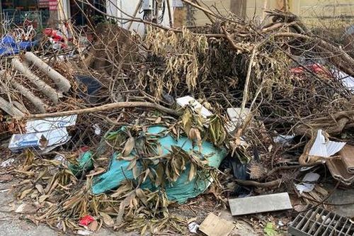 Nghệ An: Hơn 10 ngày sau bão số 5, cây xanh gãy đổ vẫn ngổn ngang đường phố Vinh
