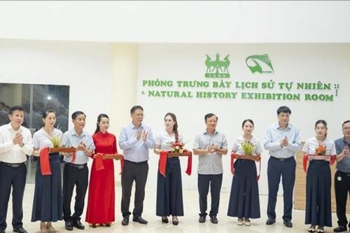 Khai trương Phòng trưng bày Lịch sử tự nhiên tại Phong Điền, Huế