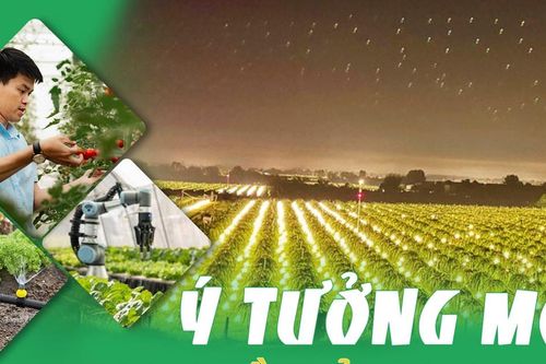 Ý tưởng mới - mạch nguồn của sự thay đổi