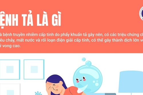 Nguy cơ dịch tả xâm nhập, Bộ Y tế yêu cầu giám sát chặt