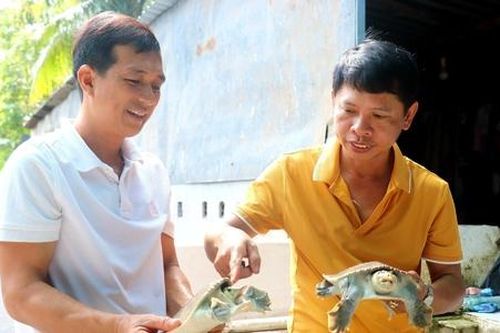 Những 'điểm sáng' của kinh tế tập thể giúp giảm nghèo bền vững ở Cần Thơ