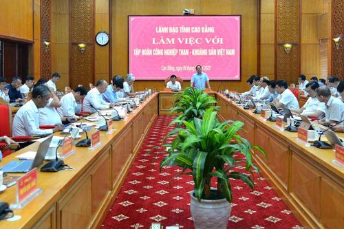 Bí thư Tỉnh ủy Quản Minh Cường làm việc với Tập đoàn công nghiệp Than - Khoáng sản Việt Nam