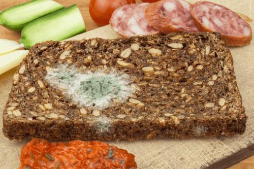 Công nghệ nhận diện thực phẩm hỏng, kém chất lượng