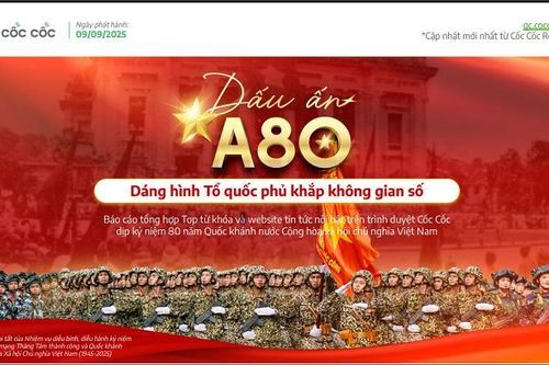 Hào khí Việt Nam lan tỏa trên không gian số