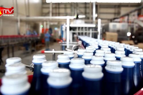 UAE: Dây chuyền sản xuất nước ngọt tinh khiết ngay từ không khí
