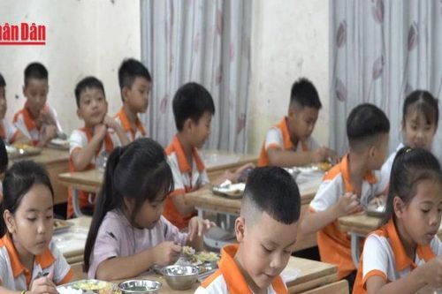 Bảo đảm chất lượng bữa ăn bán trú cho học sinh tiểu học tại Hà Nội