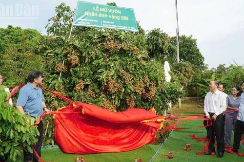 Sơn La: Tọa đàm nâng cao nhận thức sản xuất rau, quả an toàn
